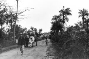 3 AUTOR, Cultura campesina, CULTURA PARAGUAYA, entierro angelito, FC < 1 CATEGORIA, J.M.Blanch, Neg BN, PARAGUAY, WEB < Pueblos de las Reducciones 2 SOPORTE ORIGINAL, 3 AUTOR, 4 LUGAR, BN, CULTURA PARAGUAYA, Campesinos, Cultura campesina, FC, J.M.Blanch, Neg BN, PARAGUAY, Pueblos de las Reducciones, RELIGION, Vida campesina, WEB, entierro angelito