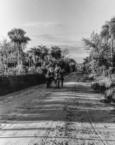 3 AUTOR, carreta < Cultura campesina, Cultura campesina, CULTURA PARAGUAYA, entierro angelito, FC < 1 CATEGORIA, J.M.Blanch, Neg BN, PARAGUAY, WEB < Pueblos de las Reducciones 2 SOPORTE ORIGINAL, 3 AUTOR, 4 LUGAR, BN, CULTURA PARAGUAYA, Campesinos, Cultura campesina, FC, J.M.Blanch, Neg BN, PARAGUAY, Pueblos de las Reducciones, RELIGION, Vida campesina, WEB, carreta, entierro angelito