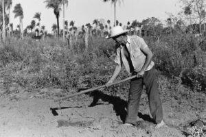 3 AUTOR, chacra < agricultura, Cultura campesina, CULTURA PARAGUAYA, FC < 1 CATEGORIA, J.M.Blanch, kokue, Neg BN, PAISAJE, PARAGUAY, WEB < Pueblos de las Reducciones 2 SOPORTE ORIGINAL, 3 AUTOR, 4 LUGAR, BN, CULTURA PARAGUAYA, Campesinos, Cultura campesina, FC, J.M.Blanch, Neg BN, PAISAJE, PARAGUAY, Pueblos de las Reducciones, TRABAJO, TRABAJO Y ARTESANIA, Vida campesina, WEB, agricultura, chacra, kokue