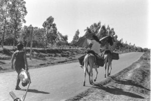 3 AUTOR, burrerita, caminar, CULTURA PARAGUAYA, FC < 1 CATEGORIA, J.M.Blanch, Neg BN, PARAGUAY, ruta, WEB < Pueblos de las Reducciones 2 SOPORTE ORIGINAL, 3 AUTOR, 4 LUGAR, BN, CULTURA PARAGUAYA, Campesinos, Cultura campesina, FC, J.M.Blanch, Medio de transporte, Neg BN, PARAGUAY, Pueblos de las Reducciones, TRANSPORTES CAMINOS y VIAJES, Tipos de camino, Vida campesina, WEB, a pie, burrerita, caminar, ruta