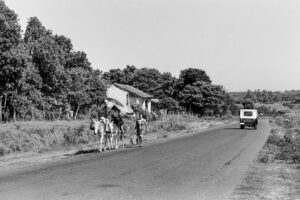 3 AUTOR, burrerita, CULTURA PARAGUAYA, FC < 1 CATEGORIA, J.M.Blanch, Neg BN, PARAGUAY, ruta, WEB < Pueblos de las Reducciones 2 SOPORTE ORIGINAL, 3 AUTOR, 4 LUGAR, BN, CULTURA PARAGUAYA, Campesinos, Cultura campesina, FC, J.M.Blanch, Neg BN, PARAGUAY, Pueblos de las Reducciones, TRANSPORTES CAMINOS y VIAJES, Tipos de camino, Vida campesina, WEB, burrerita, ruta