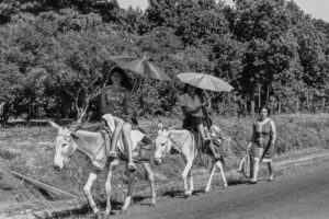 3 AUTOR, burrerita, CULTURA PARAGUAYA, FC < 1 CATEGORIA, J.M.Blanch, Neg BN, PARAGUAY, ruta, WEB < Pueblos de las Reducciones 2 SOPORTE ORIGINAL, 3 AUTOR, 4 LUGAR, BN, CULTURA PARAGUAYA, Campesinos, Cultura campesina, FC, J.M.Blanch, Neg BN, PARAGUAY, Pueblos de las Reducciones, TRANSPORTES CAMINOS y VIAJES, Tipos de camino, Vida campesina, WEB, burrerita, ruta