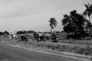 3 AUTOR, CULTURA PARAGUAYA, FC, J.M.Blanch, JESUITAS (OBRAS), Neg BN, PARAGUAY, Parroquia San Patricio, WEB 2 SOPORTE ORIGINAL, 3 AUTOR, 4 LUGAR, BN, CULTURA PARAGUAYA, FC, J.M.Blanch, JESUITAS (OBRAS), Neg BN, PARAGUAY, Parroquia San Patricio, Parroquias, Pueblos de las Reducciones, WEB