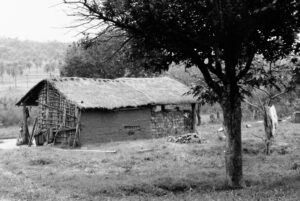 3 AUTOR, casa campesina, Cultura campesina, CULTURA PARAGUAYA, FC < 1 CATEGORIA, J.M.Blanch, Neg BN, PARAGUAY, WEB < Pueblos de las Reducciones 2 SOPORTE ORIGINAL, 3 AUTOR, 4 LUGAR, ARQUITECTURA, BN, CULTURA PARAGUAYA, Campesinos, Cultura campesina, Edificios, Edificios residenciales, FC, J.M.Blanch, Neg BN, PARAGUAY, Pueblos de las Reducciones, Vida campesina, WEB, casa, casa campesina, vivienda