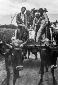 3 AUTOR, carreta < Cultura campesina, Cultura campesina, CULTURA PARAGUAYA, entierro < Cultura campesina, FC < 1 CATEGORIA, J.M.Blanch, luto, Muerte, Neg BN, PARAGUAY, WEB < Pueblos de las Reducciones 2 SOPORTE ORIGINAL, 3 AUTOR, 4 LUGAR, BN, CULTURA PARAGUAYA, Campesinos, Cultura campesina, FC, J.M.Blanch, Muerte, Neg BN, PARAGUAY, Pueblos de las Reducciones, RELIGION, Vida campesina, WEB, _NUEVAS, carreta, entierro, luto