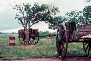 3 AUTOR, carreta < Medio de transporte, CULTURA PARAGUAYA, Diapos 35 mm, FC < 1 CATEGORIA, J.M.Blanch, PARAGUAY, WEB < Pueblos de las Reducciones 2 SOPORTE ORIGINAL, 3 AUTOR, 4 LUGAR, CULTURA PARAGUAYA, Diapos 35 mm, FC, J.M.Blanch, Medio de transporte, PARAGUAY, Pueblos de las Reducciones, TRANSPORTES CAMINOS y VIAJES, WEB, carreta