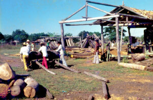 3 AUTOR, Ayoreos, casa, construccion, Diapos 35 mm, FI, hombre, indigena, INDIGENAS, J.M.Blanch, PARAGUAY, TRABAJO, WEB < Pueblos de las Reducciones 2 SOPORTE ORIGINAL, 3 AUTOR, 4 LUGAR, ARQUITECTURA, Ayoreos, Diapos 35 mm, EDAD, Edificios, Edificios residenciales, FI, INDIGENAS, J.M.Blanch, PARAGUAY, PERSONA, Pueblos de las Reducciones, TRABAJO, TRABAJO Y ARTESANIA, WEB, _NUEVAS, adulto, casa, construccion, hombre, indigena, varon, vivienda