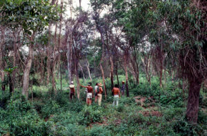 3 AUTOR, carpir, CIPAE, CULTURA PARAGUAYA, Diapos 35 mm, FC < 1 CATEGORIA, hombre, J.M.Blanch, NATURALEZA, PARAGUAY, TRABAJO 2 SOPORTE ORIGINAL, 3 AUTOR, 4 LUGAR, CIPAE, CULTURA PARAGUAYA, Comité de Iglesias, Diapos 35 mm, EDAD, FC, FN, J.M.Blanch, JESUITAS, NATURALEZA, PARAGUAY, PERSONA, Pueblos de las Reducciones, Servicio a la Iglesia Paraguaya, TRABAJO, TRABAJO Y ARTESANIA, adulto, agricultura, carpir, hombre, varon