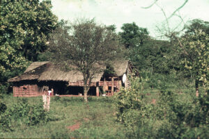 3 AUTOR, casa campesina, CULTURA PARAGUAYA, Diapos 35 mm, FC < 1 CATEGORIA, J.M.Blanch, JESUITAS (OBRAS), PARAGUAY, Parroquia Santa Rosa < Parroquias 2 SOPORTE ORIGINAL, 3 AUTOR, 4 LUGAR, ARQUITECTURA, CULTURA PARAGUAYA, Diapos 35 mm, Edificios, Edificios residenciales, FC, J.M.Blanch, JESUITAS (OBRAS), PARAGUAY, Parroquia Santa Rosa, Parroquias, Pueblos de las Reducciones, casa, casa campesina, vivienda