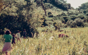 3 AUTOR, CULTURA PARAGUAYA, Diapos 35 mm, FC < 1 CATEGORIA, J.M.Blanch, JESUITAS (OBRAS), NATURALEZA, PARAGUAY, Parroquia Santa Rosa < Parroquias 2 SOPORTE ORIGINAL, 3 AUTOR, 4 LUGAR, CULTURA PARAGUAYA, Diapos 35 mm, FC, FN, J.M.Blanch, JESUITAS (OBRAS), NATURALEZA, PARAGUAY, Parroquia Santa Rosa, Parroquias, Pueblos de las Reducciones