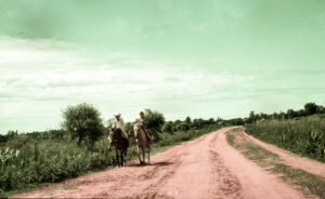 3 AUTOR, caballo, camino < PAISAJE, CULTURA PARAGUAYA, Diapos 35 mm, FC < 1 CATEGORIA, J.M.Blanch, NATURALEZA, PAISAJE, PARAGUAY, WEB < Pueblos de las Reducciones 2 SOPORTE ORIGINAL, 3 AUTOR, 4 LUGAR, Animal, Animales domésticos, CULTURA PARAGUAYA, Diapos 35 mm, FC, FN, J.M.Blanch, NATURALEZA, PAISAJE, PARAGUAY, Pueblos de las Reducciones, WEB, caballo, camino