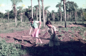 3 AUTOR, chacra < agricultura, Cultura campesina, CULTURA PARAGUAYA, Diapos 35 mm, FC < 1 CATEGORIA, J.M.Blanch, niña < niñez, PARAGUAY, TRABAJO 2 SOPORTE ORIGINAL, 3 AUTOR, 4 LUGAR, CULTURA PARAGUAYA, Campesinos, Cultura campesina, Diapos 35 mm, EDAD, FC, J.M.Blanch, PARAGUAY, PERSONA, Pueblos de las Reducciones, TRABAJO, TRABAJO Y ARTESANIA, Vida campesina, agricultura, chacra, niña, niñez