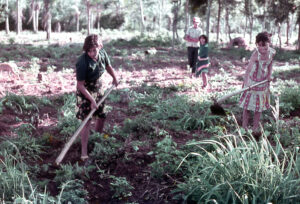 3 AUTOR, chacra < agricultura, Cultura campesina, CULTURA PARAGUAYA, Diapos 35 mm, FC < 1 CATEGORIA, J.M.Blanch, mujer < adulto, niña < niñez, PARAGUAY 2 SOPORTE ORIGINAL, 3 AUTOR, 4 LUGAR, CULTURA PARAGUAYA, Campesinos, Cultura campesina, Diapos 35 mm, EDAD, FC, J.M.Blanch, PARAGUAY, PERSONA, Pueblos de las Reducciones, TRABAJO, TRABAJO Y ARTESANIA, Vida campesina, adulto, agricultura, chacra, mujer, niña, niñez