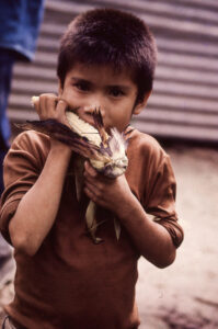 Ayoreos, Diapos 35 mm, FI, indigena, INDIGENAS, niño, PARAGUAY, rostro, una persona, WEB < Pueblos de las Reducciones 2 SOPORTE ORIGINAL, 4 LUGAR, Ayoreos, CANTIDAD, Diapos 35 mm, EDAD, FI, INDIGENAS, PARAGUAY, PERSONA, Pueblos de las Reducciones, RETRATO, WEB, _NUEVAS, cara, indigena, niñez, niño, rostro, una persona