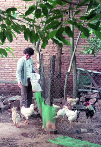 3 AUTOR, Comunidad de San Cayetano, Comunidades, FU, gallina, J.M.Blanch, Neg Color 35 mm, PARAGUAY 2 SOPORTE ORIGINAL, 3 AUTOR, 4 LUGAR, Animal, Animales domésticos, Comunidad de San Cayetano, Comunidades, FN, FU, J.M.Blanch, JESUITAS, NATURALEZA, Neg Color 35 mm, PARAGUAY, Pueblos de las Reducciones, gallina