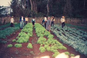 3 AUTOR, Camba rembe (Esc. de San Pedro), FC < 1 CATEGORIA, Fe y Alegría < JESUITAS (OBRAS), FJ < 1 CATEGORIA, huerta < Vegetal, J.M.Blanch, JESUITAS (OBRAS), Neg Color 35 mm, PARAGUAY 2 SOPORTE ORIGINAL, 3 AUTOR, 4 LUGAR, Camba rembe (Esc. de San Pedro), FC, FJ, FN, Fe y Alegría, J.M.Blanch, JESUITAS (OBRAS), NATURALEZA, Neg Color 35 mm, PARAGUAY, Pueblos de las Reducciones, Vegetal, huerta