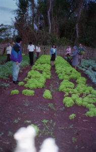 3 AUTOR, Camba rembe (Esc. de San Pedro), FC < 1 CATEGORIA, Fe y Alegría < JESUITAS (OBRAS), FJ < 1 CATEGORIA, huerta < Vegetal, J.M.Blanch, JESUITAS (OBRAS), Neg Color 35 mm, PARAGUAY 2 SOPORTE ORIGINAL, 3 AUTOR, 4 LUGAR, Camba rembe (Esc. de San Pedro), FC, FJ, FN, Fe y Alegría, J.M.Blanch, JESUITAS (OBRAS), NATURALEZA, Neg Color 35 mm, PARAGUAY, Pueblos de las Reducciones, Vegetal, huerta