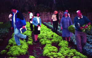 3 AUTOR, Camba rembe (Esc. de San Pedro), FC < 1 CATEGORIA, Fe y Alegría < JESUITAS (OBRAS), FJ < 1 CATEGORIA, huerta < Vegetal, J.M.Blanch, JESUITAS (OBRAS), Neg Color 35 mm, PARAGUAY 2 SOPORTE ORIGINAL, 3 AUTOR, 4 LUGAR, Camba rembe (Esc. de San Pedro), FC, FJ, FN, Fe y Alegría, J.M.Blanch, JESUITAS (OBRAS), NATURALEZA, Neg Color 35 mm, PARAGUAY, Pueblos de las Reducciones, Vegetal, huerta