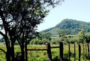 3 AUTOR, arbol, FC < 1 CATEGORIA, J.M.Blanch, JESUITAS (OBRAS), NATURALEZA, Neg Color 35 mm, PAISAJE, PARAGUAY, Parroquia Santa Rosa < Parroquias, WEB < Pueblos de las Reducciones 2 SOPORTE ORIGINAL, 3 AUTOR, 4 LUGAR, FC, FN, J.M.Blanch, JESUITAS (OBRAS), NATURALEZA, Neg Color 35 mm, PAISAJE, PARAGUAY, Parroquia Santa Rosa, Parroquias, Pueblos de las Reducciones, Vegetal, WEB, arbol