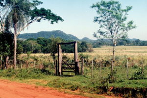 3 AUTOR, arbol, FC < 1 CATEGORIA, J.M.Blanch, JESUITAS (OBRAS), NATURALEZA, Neg Color 35 mm, PAISAJE, PARAGUAY, Parroquia Santa Rosa < Parroquias, WEB < Pueblos de las Reducciones 2 SOPORTE ORIGINAL, 3 AUTOR, 4 LUGAR, FC, FN, J.M.Blanch, JESUITAS (OBRAS), NATURALEZA, Neg Color 35 mm, PAISAJE, PARAGUAY, Parroquia Santa Rosa, Parroquias, Pueblos de las Reducciones, Vegetal, WEB, arbol