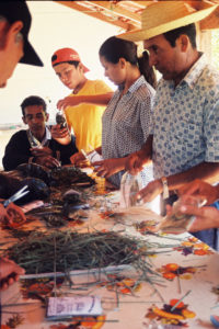 3 AUTOR, agricultura, CULTURA PARAGUAYA, FC, J.M.Blanch, JESUITAS (OBRAS), Neg Color 35 mm, PARAGUAY, Parroquia Santa María Misiones, trabajo agricola < agricultura, WEB 2 SOPORTE ORIGINAL, 3 AUTOR, 4 LUGAR, CULTURA PARAGUAYA, FC, J.M.Blanch, JESUITAS (OBRAS), Neg Color 35 mm, PARAGUAY, Parroquia Santa María Misiones, Parroquias, Pueblos de las Reducciones, TRABAJO, TRABAJO Y ARTESANIA, WEB, agricultura, trabajo agricola