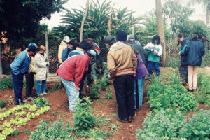 3 AUTOR, CULTURA PARAGUAYA, FC < 1 CATEGORIA, huerta < agricultura, huerta medicinal, J.M.Blanch, JESUITAS (OBRAS), Misiones, Neg Color 35 mm, PARAGUAY, Parroquia Santa María Misiones, trabajo agricola < agricultura, WEB < Pueblos de las Reducciones 2 SOPORTE ORIGINAL, 3 AUTOR, 4 LUGAR, CULTURA PARAGUAYA, Departamentos y Ciudades, FC, J.M.Blanch, JESUITAS (OBRAS), Misiones, Neg Color 35 mm, PARAGUAY, Parroquia Santa María Misiones, Parroquias, Pueblos de las Reducciones, TRABAJO, TRABAJO Y ARTESANIA, WEB, agricultura, huerta, huerta medicinal, trabajo agricola