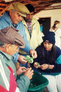 3 AUTOR, CULTURA PARAGUAYA, FC < 1 CATEGORIA, huerta < agricultura, huerta medicinal, J.M.Blanch, JESUITAS (OBRAS), Misiones, Neg Color 35 mm, PARAGUAY, Parroquia Santa María Misiones, trabajo agricola < agricultura, WEB < Pueblos de las Reducciones 2 SOPORTE ORIGINAL, 3 AUTOR, 4 LUGAR, CULTURA PARAGUAYA, Departamentos y Ciudades, FC, J.M.Blanch, JESUITAS (OBRAS), Misiones, Neg Color 35 mm, PARAGUAY, Parroquia Santa María Misiones, Parroquias, Pueblos de las Reducciones, TRABAJO, TRABAJO Y ARTESANIA, WEB, agricultura, huerta, huerta medicinal, trabajo agricola