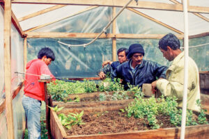 3 AUTOR, CULTURA PARAGUAYA, FC < 1 CATEGORIA, huerta < agricultura, huerta medicinal, J.M.Blanch, JESUITAS (OBRAS), Misiones, Neg Color 35 mm, PARAGUAY, Parroquia Santa María Misiones, trabajo agricola < agricultura, WEB < Pueblos de las Reducciones 2 SOPORTE ORIGINAL, 3 AUTOR, 4 LUGAR, CULTURA PARAGUAYA, Departamentos y Ciudades, FC, J.M.Blanch, JESUITAS (OBRAS), Misiones, Neg Color 35 mm, PARAGUAY, Parroquia Santa María Misiones, Parroquias, Pueblos de las Reducciones, TRABAJO, TRABAJO Y ARTESANIA, WEB, agricultura, huerta, huerta medicinal, trabajo agricola