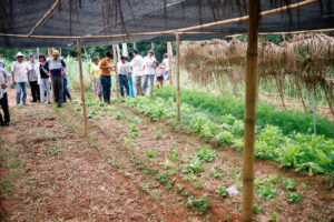 3 AUTOR, campesino < Cultura campesina, CULTURA PARAGUAYA, en agricultura, FC < 1 CATEGORIA, huerta < Vegetal, J.M.Blanch, JESUITAS (OBRAS), Neg Color 35 mm, PARAGUAY, Parroquia Santa María Misiones 2 SOPORTE ORIGINAL, 3 AUTOR, 4 LUGAR, CULTURA PARAGUAYA, Campesinos, Capacitacion, Cultura campesina, EDUCACION INFORMAL, FC, FN, J.M.Blanch, JESUITAS (OBRAS), NATURALEZA, Neg Color 35 mm, PARAGUAY, Parroquia Santa María Misiones, Parroquias, Pueblos de las Reducciones, Vegetal, Vida campesina, campesino, en agricultura, huerta