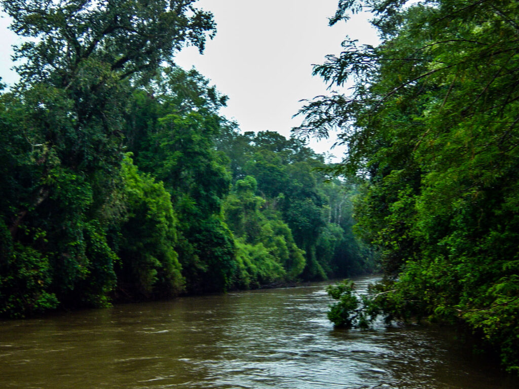 3 AUTOR, agua < Inanimada < NATURALEZA, Alto Parana, Digitales, FN, J.M.Blanch, PARAGUAY, puerto < Barcelona, rio < agua < Inanimada, rio < PAISAJE < Pueblos de las Reducciones, rio < rio < agua, WEB 1 Prov Barcelona, 2 SOPORTE ORIGINAL, 3 AUTOR, 4 LUGAR, Alto Parana, Barcelona, CATALUNYA ESPAÑA, Departamentos y Ciudades, Digitales, FN, Inanimada, J.M.Blanch, NATURALEZA, PAISAJE, PARAGUAY, Pueblos de las Reducciones, WEB, agua, puerto, rio