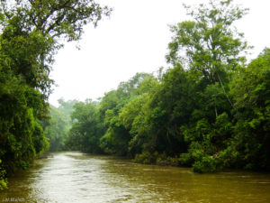 3 AUTOR, Agropeco, agua < Inanimada < NATURALEZA, Alto Parana, Digitales, FN, J.M.Blanch, PARAGUAY, rio < agua < Inanimada, rio < PAISAJE < Pueblos de las Reducciones, WEB 2 SOPORTE ORIGINAL, 3 AUTOR, 4 LUGAR, Agropeco, Alto Parana, Departamentos y Ciudades, Digitales, FN, Inanimada, J.M.Blanch, NATURALEZA, PAISAJE, PARAGUAY, Pueblos de las Reducciones, WEB, agua, rio