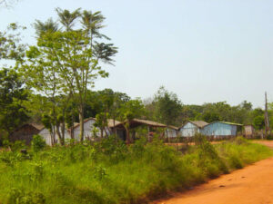 Arroyito < Fe y Alegría, Camba rembe, Camba rembe (Esc. de San Pedro), Congreso, Cultura campesina, CULTURA PARAGUAYA, EDUCACION FORMAL, Fe y Alegria, Fe y Alegría < JESUITAS (OBRAS), JESUITAS (OBRAS), Santa Lucia 4 LUGAR, ARQUITECTURA, Arroyito, CULTURA PARAGUAYA, Camba Rembe, Camba rembe, Camba rembe (Esc. de San Pedro), Campesinos, Centros, Congreso, Cultura campesina, Departamentos y Ciudades, EDUCACION FORMAL, Edificios, Edificios publicos, Fe y Alegria, Fe y Alegría, JESUITAS (OBRAS), PARAGUAY, Pueblos de las Reducciones, Resquin, San Pedro (Departamento), Santa Lucia, Vida campesina