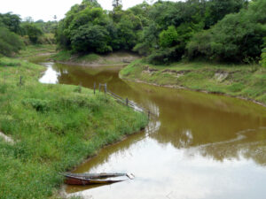 3 AUTOR, arbol, arbol (generico), bote, canoa, Digitales, FN, hundir, J.M.Blanch, Montelindo, NATURALEZA, PAISAJE, PARAGUAY, rio, WEB < Pueblos de las Reducciones 2 SOPORTE ORIGINAL, 3 AUTOR, 4 LUGAR, Chaco, Departamentos y Ciudades, Digitales, FN, J.M.Blanch, Medio de transporte, Montelindo, NATURALEZA, PAISAJE, PARAGUAY, Pueblos de las Reducciones, TRANSPORTES CAMINOS y VIAJES, Vegetal, Villa Hayes, WEB, _NUEVAS, arbol, arbol (generico), bote, canoa, hundir, rio