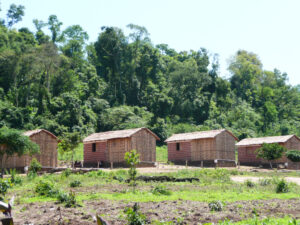 3 AUTOR, Ava guarani, casa indígena, CULTURA PARAGUAYA, Digitales, FC < 1 CATEGORIA, FI, INDIGENAS, Itapua < Itapua, J.M.Blanch, Mbya guarani, PARAGUAY, WEB < Pueblos de las Reducciones 2 SOPORTE ORIGINAL, 3 AUTOR, 4 LUGAR, ARQUITECTURA, Ava guarani, CULTURA PARAGUAYA, Departamentos y Ciudades, Digitales, Edificios, Edificios residenciales, FC, FI, INDIGENAS, Itapua, J.M.Blanch, Mbya guarani, PARAGUAY, Pueblos de las Reducciones, WEB, casa, casa indígena, vivienda