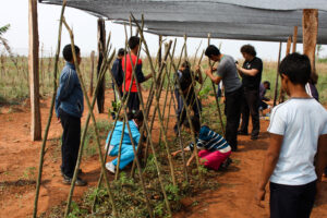 3 AUTOR, agricultura, CEPAG, CULTURA PARAGUAYA, Digitales, FC < 1 CATEGORIA, huerta < agricultura, huerta < Vegetal, huerta de regadio, J.M.Blanch, JESUITAS (OBRAS), PARAGUAY, tomate 2 SOPORTE ORIGINAL, 3 AUTOR, 4 LUGAR, CEPAG, CULTURA PARAGUAYA, Digitales, FC, FN, J.M.Blanch, JESUITAS (OBRAS), NATURALEZA, PARAGUAY, Productos agricolas, Pueblos de las Reducciones, TRABAJO, TRABAJO Y ARTESANIA, Vegetal, agricultura, huerta, huerta de regadio, tomate