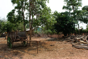 3 AUTOR, agricultura, carreta < Cultura campesina, CEPAG, chacra < agricultura, CULTURA PARAGUAYA, Digitales, FC < 1 CATEGORIA, J.M.Blanch, JESUITAS (OBRAS), PARAGUAY, WEB < Pueblos de las Reducciones 2 SOPORTE ORIGINAL, 3 AUTOR, 4 LUGAR, CEPAG, CULTURA PARAGUAYA, Campesinos, Cultura campesina, Digitales, FC, J.M.Blanch, JESUITAS (OBRAS), PARAGUAY, Pueblos de las Reducciones, TRABAJO, TRABAJO Y ARTESANIA, Vida campesina, WEB, agricultura, carreta, chacra