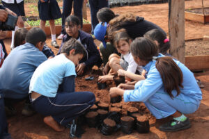 3 AUTOR, agricultura, alumno, campesino < Cultura campesina, Capacitacion, CEPAG, Cultura campesina, CULTURA PARAGUAYA, Digitales, en agricultura, FC < 1 CATEGORIA, J.M.Blanch, JESUITAS (OBRAS), mixto, niño, PARAGUAY, reforestacion, WEB < Pueblos de las Reducciones 2 SOPORTE ORIGINAL, 3 AUTOR, 4 LUGAR, CEPAG, CULTURA PARAGUAYA, Campesinos, Capacitacion, Colegio, Cultura campesina, Digitales, ECOLOGIA, EDAD, EDUCACION FORMAL, EDUCACION INFORMAL, Escuela, FC, J.M.Blanch, JESUITAS (OBRAS), PARAGUAY, PERSONA, Pueblos de las Reducciones, SEXO, TRABAJO, TRABAJO Y ARTESANIA, Vida campesina, WEB, agricultura, alumno, campesino, en agricultura, mixto, niñez, niño, reforestacion