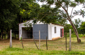 3 AUTOR, Asentamiento 3 de Noviembre, CEPAG, CULTURA PARAGUAYA, Digitales, FC < 1 CATEGORIA, J.M.Blanch, JESUITAS (OBRAS), PARAGUAY, retrato espontaneo, WEB < Pueblos de las Reducciones 2 SOPORTE ORIGINAL, 3 AUTOR, 4 LUGAR, Asentamiento 3 de Noviembre, CEPAG, CULTURA PARAGUAYA, Digitales, FC, J.M.Blanch, JESUITAS (OBRAS), PARAGUAY, PERSONA, Pueblos de las Reducciones, RETRATO, WEB, retrato espontaneo