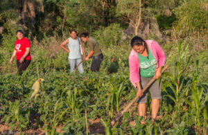 3 AUTOR, agricultura, Digitales, FC < 1 CATEGORIA, horticultura, huerta < agricultura, J.M.Blanch, PREBIR < Educ de adultos < Centros, PREBIR < Fe y Alegría < Obras SJ 2 SOPORTE ORIGINAL, 3 AUTOR, Centros, Digitales, EDUCACION FORMAL, Educ de adultos, FC, Fe y Alegría, J.M.Blanch, JESUITAS, Obras SJ, PREBIR, Pueblos de las Reducciones, TRABAJO, TRABAJO Y ARTESANIA, _NUEVAS, agricultura, horticultura, huerta