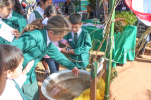 agricultura, Centro Educativo Santa María de la Providencia de Fe y Alegria, FC < 1 CATEGORIA, Fe y Alegria, feria, J.M.Blanch, niñez, pescado, pez 3 AUTOR, Centro Educativo Santa María de la Providencia de Fe y Alegria, Centros, EDAD, EDUCACION FORMAL, FC, FIESTAS Y CELEBRACIONES, Fe y Alegria, J.M.Blanch, PERSONA, Pueblos de las Reducciones, TRABAJO, TRABAJO Y ARTESANIA, _NUEVAS, agricultura, feria, fiesta civil, niñez, pescado, pez