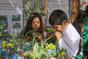 agricultura, Centro Educativo Santa María de la Providencia de Fe y Alegria, FC < 1 CATEGORIA, Fe y Alegria, feria, J.M.Blanch, niñez 3 AUTOR, Centro Educativo Santa María de la Providencia de Fe y Alegria, Centros, EDAD, EDUCACION FORMAL, FC, FIESTAS Y CELEBRACIONES, Fe y Alegria, J.M.Blanch, PERSONA, Pueblos de las Reducciones, TRABAJO, TRABAJO Y ARTESANIA, _NUEVAS, agricultura, feria, fiesta civil, niñez