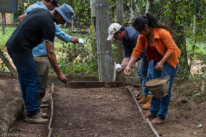 3 AUTOR, CEPAG, Comida tipica, cultivar, CULTURA PARAGUAYA, Digitales, FC, J.M.Blanch, JESUITAS (OBRAS), mate, PARAGUAY, plantar, sembrar, semillas, Tava'i yerba mate, TRABAJO, WEB, yerba mate 2 SOPORTE ORIGINAL, 3 AUTOR, 4 LUGAR, CEPAG, CULTURA PARAGUAYA, Campesinos, Comida tipica, Cultura campesina, Digitales, FC, J.M.Blanch, JESUITAS (OBRAS), PARAGUAY, Productos agricolas, Pueblos de las Reducciones, TRABAJO, TRABAJO Y ARTESANIA, Tava'i yerba mate, Vida campesina, WEB, _NUEVAS, agricultura, cultivar, mate, plantar, sembrar, semillas, yerba mate