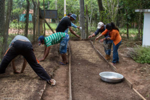 3 AUTOR, CEPAG, Comida tipica, cultivar, CULTURA PARAGUAYA, Digitales, FC, J.M.Blanch, JESUITAS (OBRAS), mate, PARAGUAY, plantar, sembrar, semillas, Tava'i yerba mate, TRABAJO, WEB, yerba mate 2 SOPORTE ORIGINAL, 3 AUTOR, 4 LUGAR, CEPAG, CULTURA PARAGUAYA, Campesinos, Comida tipica, Cultura campesina, Digitales, FC, J.M.Blanch, JESUITAS (OBRAS), PARAGUAY, Productos agricolas, Pueblos de las Reducciones, TRABAJO, TRABAJO Y ARTESANIA, Tava'i yerba mate, Vida campesina, WEB, _NUEVAS, agricultura, cultivar, mate, plantar, sembrar, semillas, yerba mate