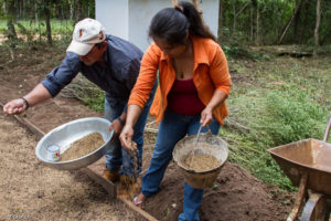 3 AUTOR, CEPAG, Comida tipica, cultivar, CULTURA PARAGUAYA, Digitales, FC, J.M.Blanch, JESUITAS (OBRAS), mate, PARAGUAY, plantar, sembrar, semillas, Tava'i yerba mate, TRABAJO, WEB, yerba mate 2 SOPORTE ORIGINAL, 3 AUTOR, 4 LUGAR, CEPAG, CULTURA PARAGUAYA, Campesinos, Comida tipica, Cultura campesina, Digitales, FC, J.M.Blanch, JESUITAS (OBRAS), PARAGUAY, Productos agricolas, Pueblos de las Reducciones, TRABAJO, TRABAJO Y ARTESANIA, Tava'i yerba mate, Vida campesina, WEB, _NUEVAS, agricultura, cultivar, mate, plantar, sembrar, semillas, yerba mate