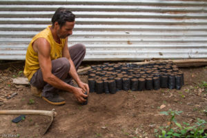 3 AUTOR, CEPAG, Comida tipica, CULTURA PARAGUAYA, Digitales, FC, hombre, J.M.Blanch, JESUITAS (OBRAS), mate, PARAGUAY, plantar, sembrar, Tava'i yerba mate, WEB, yerba mate 2 SOPORTE ORIGINAL, 3 AUTOR, 4 LUGAR, CEPAG, CULTURA PARAGUAYA, Campesinos, Comida tipica, Cultura campesina, Digitales, EDAD, FC, J.M.Blanch, JESUITAS (OBRAS), PARAGUAY, PERSONA, Productos agricolas, Pueblos de las Reducciones, TRABAJO, TRABAJO Y ARTESANIA, Tava'i yerba mate, Vida campesina, WEB, _NUEVAS, adulto, agricultura, hombre, mate, plantar, sembrar, varon, yerba mate