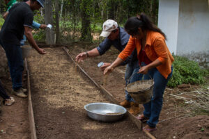 3 AUTOR, CEPAG, Comida tipica, cultivar, CULTURA PARAGUAYA, Digitales, FC < 1 CATEGORIA, J.M.Blanch, JESUITAS (OBRAS), mate, PARAGUAY, plantar, sembrar, semillas, Tava'i yerba mate, TRABAJO, WEB < Pueblos de las Reducciones, yerba mate 2 SOPORTE ORIGINAL, 3 AUTOR, 4 LUGAR, CEPAG, CULTURA PARAGUAYA, Campesinos, Comida tipica, Cultura campesina, Digitales, FC, J.M.Blanch, JESUITAS (OBRAS), PARAGUAY, Productos agricolas, Pueblos de las Reducciones, TRABAJO, TRABAJO Y ARTESANIA, Tava'i yerba mate, Vida campesina, WEB, _NUEVAS, agricultura, cultivar, mate, plantar, sembrar, semillas, yerba mate