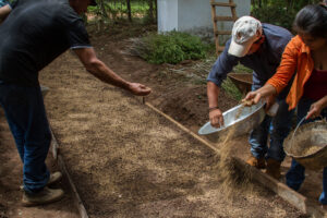 3 AUTOR, CEPAG, Comida tipica, cultivar, CULTURA PARAGUAYA, Digitales, FC < 1 CATEGORIA, J.M.Blanch, JESUITAS (OBRAS), mate, PARAGUAY, plantar, sembrar, semillas, Tava'i yerba mate, TRABAJO, WEB < Pueblos de las Reducciones, yerba mate 2 SOPORTE ORIGINAL, 3 AUTOR, 4 LUGAR, CEPAG, CULTURA PARAGUAYA, Campesinos, Comida tipica, Cultura campesina, Digitales, FC, J.M.Blanch, JESUITAS (OBRAS), PARAGUAY, Productos agricolas, Pueblos de las Reducciones, TRABAJO, TRABAJO Y ARTESANIA, Tava'i yerba mate, Vida campesina, WEB, _NUEVAS, agricultura, cultivar, mate, plantar, sembrar, semillas, yerba mate