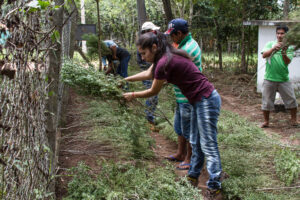 3 AUTOR, CEPAG, Comida tipica, cultivar, CULTURA PARAGUAYA, Digitales, FC < 1 CATEGORIA, J.M.Blanch, JESUITAS (OBRAS), mate, PARAGUAY, plantar, sembrar, semillas, Tava'i yerba mate, TRABAJO, WEB < Pueblos de las Reducciones, yerba mate 2 SOPORTE ORIGINAL, 3 AUTOR, 4 LUGAR, CEPAG, CULTURA PARAGUAYA, Campesinos, Comida tipica, Cultura campesina, Digitales, FC, J.M.Blanch, JESUITAS (OBRAS), PARAGUAY, Productos agricolas, Pueblos de las Reducciones, TRABAJO, TRABAJO Y ARTESANIA, Tava'i yerba mate, Vida campesina, WEB, _NUEVAS, agricultura, cultivar, mate, plantar, sembrar, semillas, yerba mate