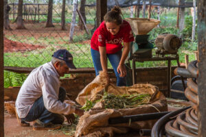 2018 25 años Escuelas Arroyito, Arroyito < Fe y Alegría, Asentamiento Arroyito, chica, Cultura campesina, CULTURA PARAGUAYA, EDUCACION FORMAL, Fe y Alegria, Fe y Alegría < JESUITAS (OBRAS), hombre, JESUITAS (OBRAS), WEB < Pueblos de las Reducciones 2018 25 años Escuelas Arroyito, Arroyito, Asentamiento Arroyito, CULTURA PARAGUAYA, Campesinos, Centros, Cultura campesina, EDAD, EDUCACION FORMAL, Fe y Alegria, Fe y Alegría, JESUITAS (OBRAS), PERSONA, Pueblos de las Reducciones, Vida campesina, WEB, adulto, chica, hombre, joven, varon