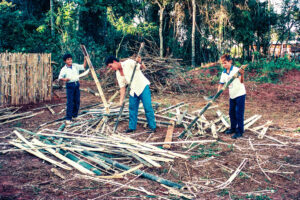 3 AUTOR, Fe y Alegria, Fe y Alegría < JESUITAS (OBRAS), huerta < agricultura, J.M.Blanch, JESUITAS (OBRAS), Neg Color 35 mm, TRABAJO, WEB < Pueblos de las Reducciones 2 SOPORTE ORIGINAL, 3 AUTOR, Centros, EDUCACION FORMAL, Fe y Alegria, Fe y Alegría, J.M.Blanch, JESUITAS (OBRAS), Neg Color 35 mm, Pueblos de las Reducciones, TRABAJO, TRABAJO Y ARTESANIA, WEB, agricultura, huerta